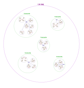 N'Jal Society--Anatomy of a Tribe